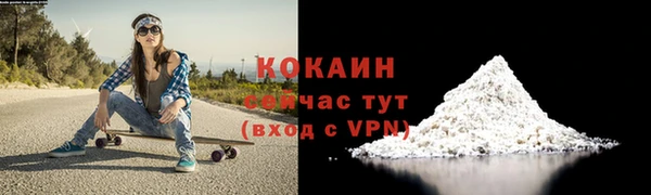 первитин Новодвинск