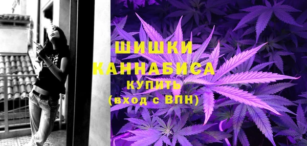 первитин Новодвинск