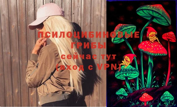 mdpv Нея